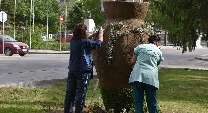 Започна зацветяването на вазата в градинката пред Прокуратурата 