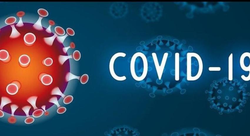 Единадесет нови потвърдени случаи на COVID-19