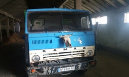 Камион със странен талисман из улиците на село Равно 