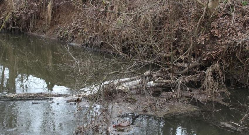 Затлачено корито носи риск за питейната вода, алармира общественик 