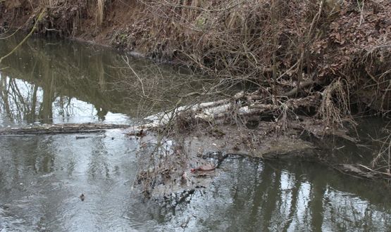 Затлачено корито носи риск за питейната вода, алармира общественик 