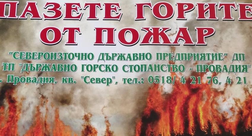 Един горски пожар от началото на годината 