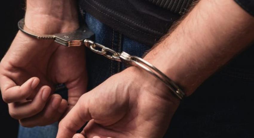 Задържаха трима души за убийството на зубър 