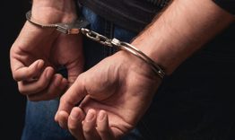 Задържаха трима души за убийството на зубър 