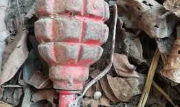 Намериха невзирвена граната в местността "Стражецки лозя"