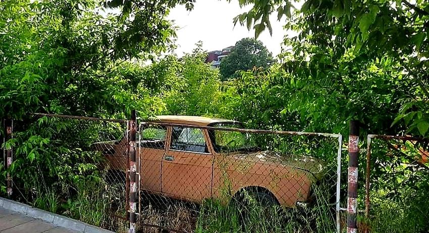 "Москвичът" и природата 