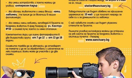 Започва фотоконкурсът „Моят лаещ любимец”