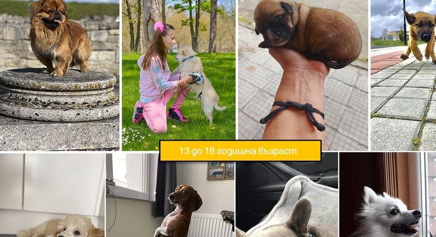 150 малки фотографи участваха в конкурса „Моят лаещ любимец“