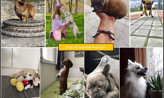 150 малки фотографи участваха в конкурса „Моят лаещ любимец“