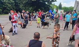 Близо 60 домашни любимци участваха в конкурса „Моят домашен любимец“