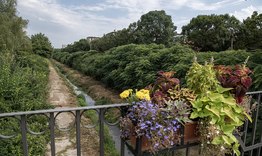 Установиха замърсяване на река Бели Лом 