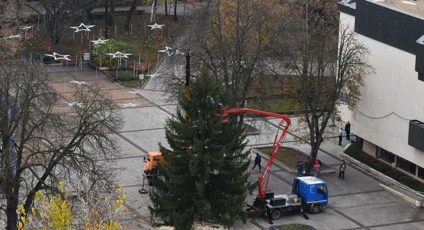 Градската коледна елха пристигна, ще светне на 6 декември 