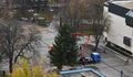 Градската коледна елха пристигна, ще светне на 6 декември 
