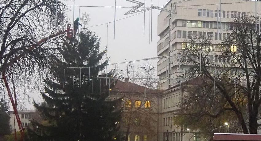 Започна изграждането на Коледния базар край Градската елха, коледните светлини грейват на 6 декември 