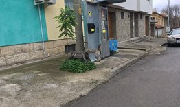 Магаре предизвиква усмивки на улица в Разград