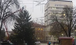 Започна изграждането на Коледния базар край Градската елха, коледните светлини грейват на 6 декември 