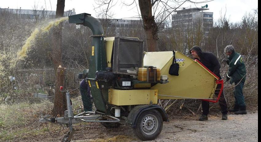 Община Разград започна почистване на 1500 метра от коритото на река Бели Лом от дървесна растителност