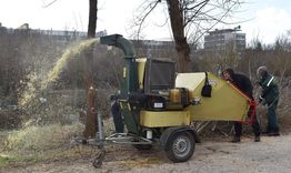 Община Разград започна почистване на 1500 метра от коритото на река Бели Лом от дървесна растителност
