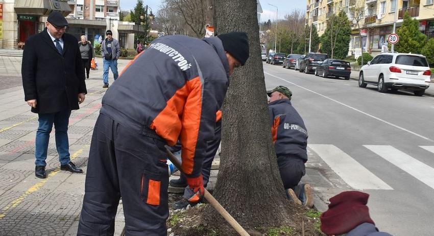 Започнаха ремонти на тротоари, на които израснали дървета са повдигнали плочките 