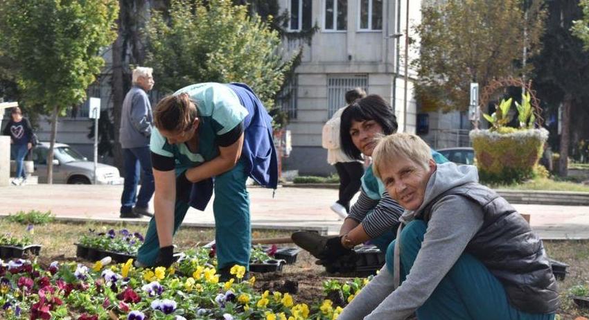 ОП“Паркстрой“ започна есенното зацветяване на Разград с близо 70 000 растения