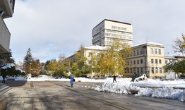 Даровитите деца на Разград получават парични стимули за постиженията си през годината в четвъртък