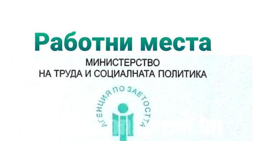 Обявени свободни работни места в област Разград към 19 февруари 2024 г.