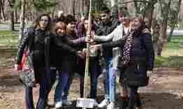 12 чинара засадиха в парка потребители и служители от социалните услуги в Община Разград