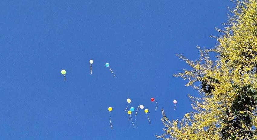 Балони с послания против дрогата полетяха над две училища в Разград