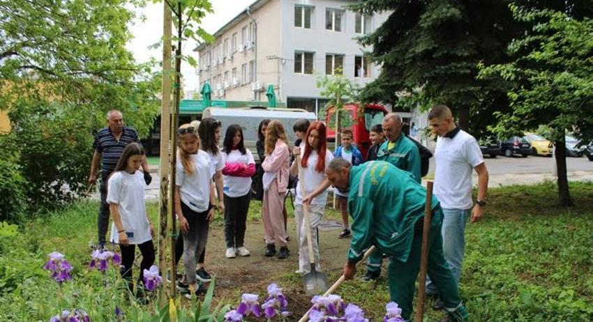 ОИЦ организира засаждане на дръвчета