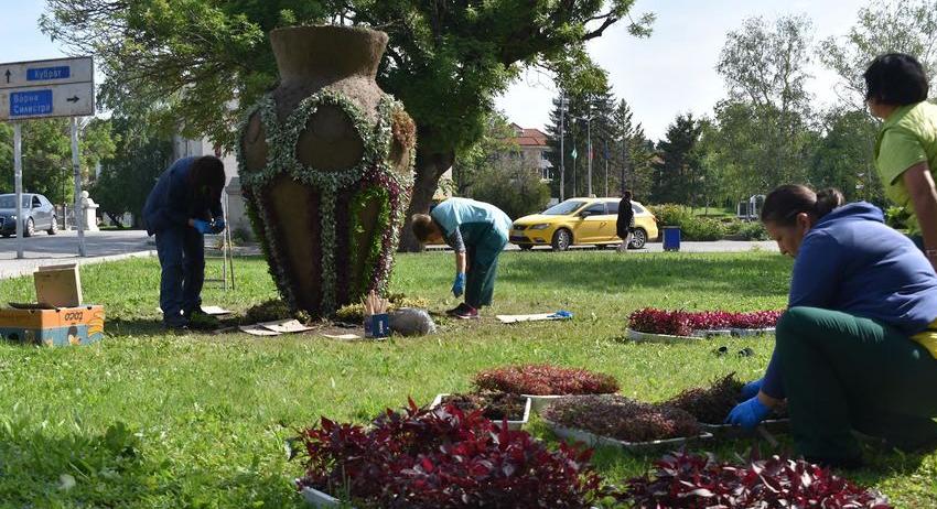 Започна зацветяването на вазата в градинката пред Прокуратурата