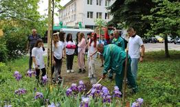 ОИЦ организира засаждане на дръвчета