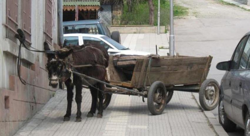 Разградско село е без обществен транспорт