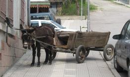 Разградско село е без обществен транспорт
