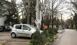 С камери пазят цветята пред болницата в Разград