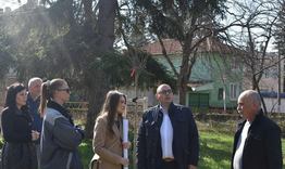 Засаждат над 100 нови храсти и дървета в Градския парк