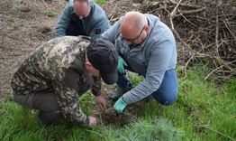 Ръководството на Община Разград и общински съветници се включиха в залесителна акция