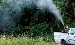 Във вторник вечерта ще се пръска срещу комари