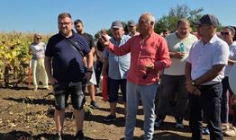 Отбелязаха Деня на царевицата и слънчогледа